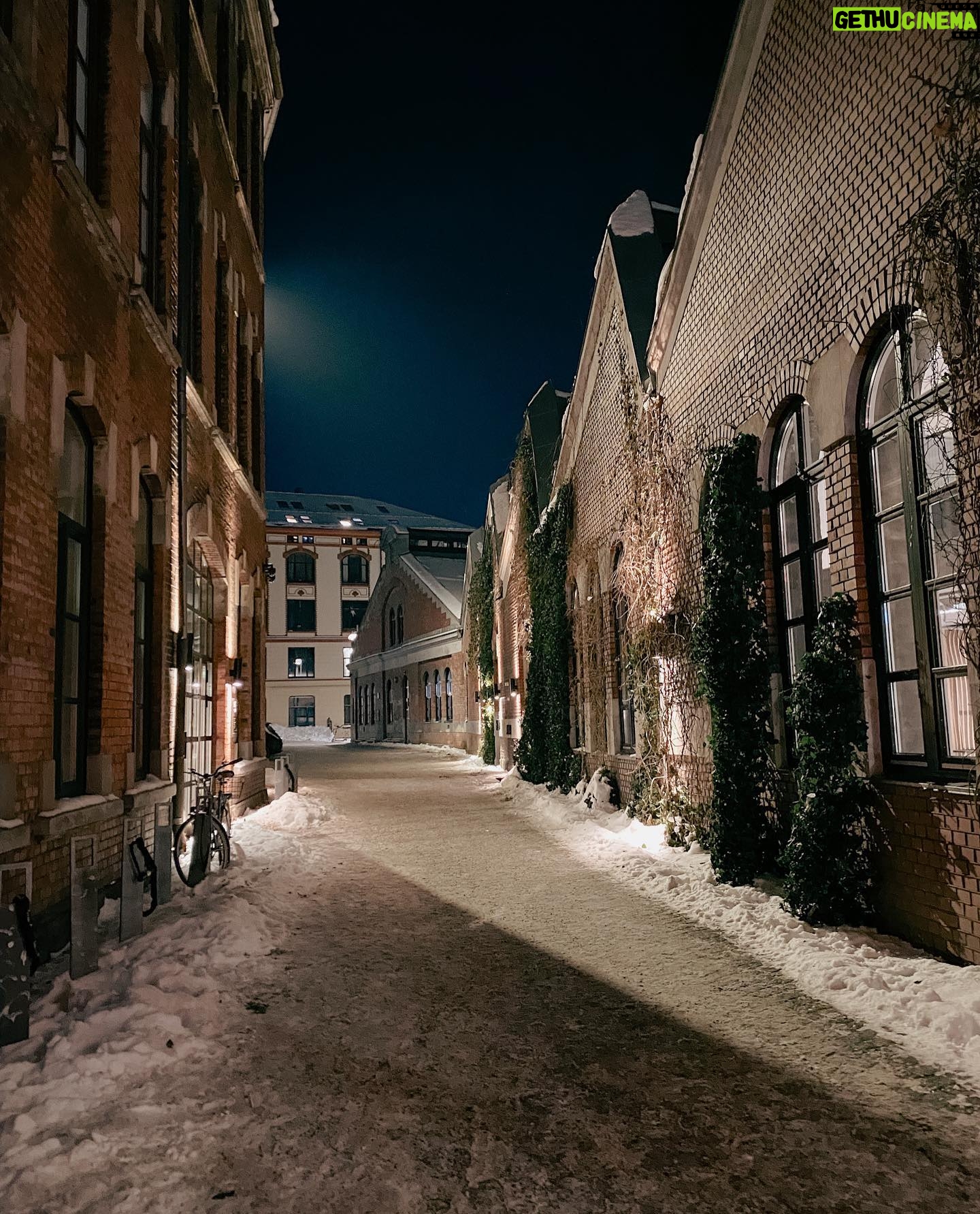Tülin Yazkan - 3 Likes - night in Oslo🌈
