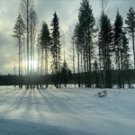 Tülin Yazkan Instagram – Our home for a few days, aurora, sun, snowy owl, lynx, Gustav kitchen, a free deer! 🦌 ❄️