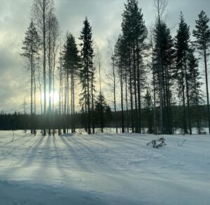 Tülin Yazkan Instagram - Our home for a few days, aurora, sun, snowy owl, lynx, Gustav kitchen, a free deer! 🦌 ❄️