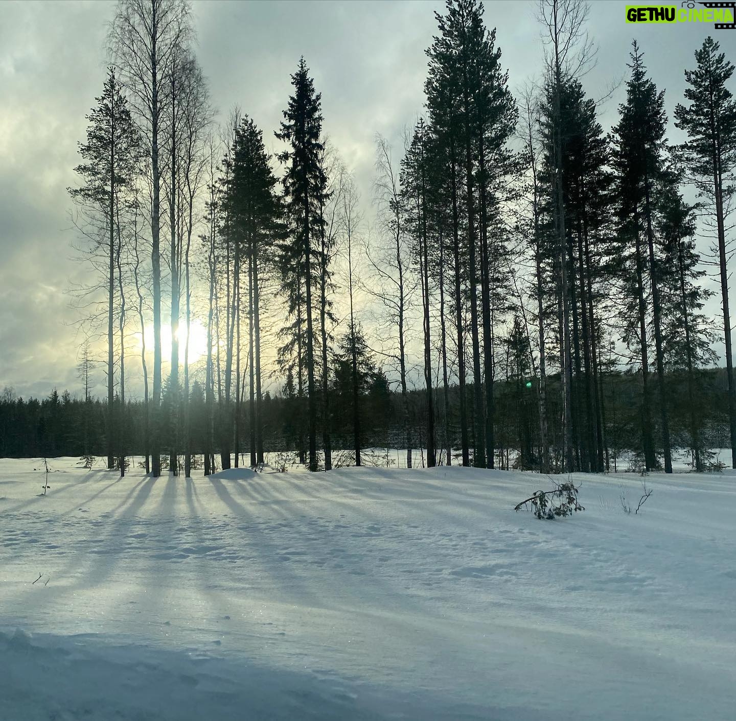 Tülin Yazkan - 3 Likes - Our home for a few days, aurora, sun, snowy owl, lynx, Gustav kitchen, a free deer! 🦌 ❄️