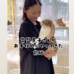 Takako Tokiwa Instagram - 石川県野々市市にて。 保護猫シェルター「こねこサポーター」さんに行かせていただきました🐈✨ シェルターってどんなところなんだろうと初めての体験に緊張しましたが…猫好きにとっては夢のような場所なんですねっ✨ ぎゃわいいっ😍✨ 被災地からの猫ちゃんたちをレスキューしてくださっています。 @konekosapo0901 #素敵な動画編集ありがとうございます #どなたがやってくださったのかしら？ #うますぎる❗ @kohei_kirimoto さん #ご紹介ありがとうございました #保護猫 #かわいかった #前編