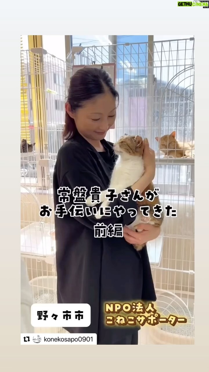 Takako Tokiwa Instagram - 石川県野々市市にて。 保護猫シェルター「こねこサポーター」さんに行かせていただきました🐈✨ シェルターってどんなところなんだろうと初めての体験に緊張しましたが…猫好きにとっては夢のような場所なんですねっ✨ ぎゃわいいっ😍✨ 被災地からの猫ちゃんたちをレスキューしてくださっています。 @konekosapo0901 #素敵な動画編集ありがとうございます #どなたがやってくださったのかしら? #うますぎる❗ @kohei_kirimoto さん #ご紹介ありがとうございました #保護猫 #かわいかった #前編