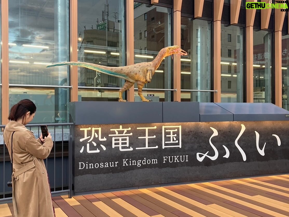 Takako Tokiwa Instagram - 本日放送 『笑神様は突然に…2024春SP』 (日本テレビ系 午後7時58分~9時54分) 鉄道BIG4との嬉しい鉄旅2回目😭✨ 北陸新幹線延伸前の貴重な体験をさせていただきました。 今回も鉄道BIG4の皆様の、鉄道への愛に…笑いっぱなし🤣💦 笑い過ぎて…疲れ果てた(笑) #笑神様は突然に2時間スペシャル #鉄道big4 #北陸新幹線延伸 #おめでとう🎉 #このロケ #自由に写真撮らせてくれる から #めっちゃ嬉しい #6枚目 #何を撮ってるかと言いますと… #貨物列車 !!らぶ💕 #延伸したら #念願の恐竜博物館 行きたい 😍✨ #ロケの朝 #朝早くからのスタンバイに #スタッフさんが用意してくださった朝食は … #能登の塩を使った 塩パン #能登の牡蠣むすび #能登愛 #素敵な朝食をありがとう😊 #14枚目 #ライトが消えている北陸線・七尾線のサイン #でも ! #4月6日全線再開!! #おめでとう㊗️ #ラスト #車窓からの素敵な鉄 @seanewyork @lion.gallery220 @p_l_u_s_c_t_e_a_m @yyuiiko
