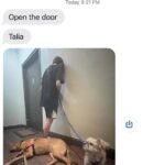 Talia Ryder Instagram – 🤝 home