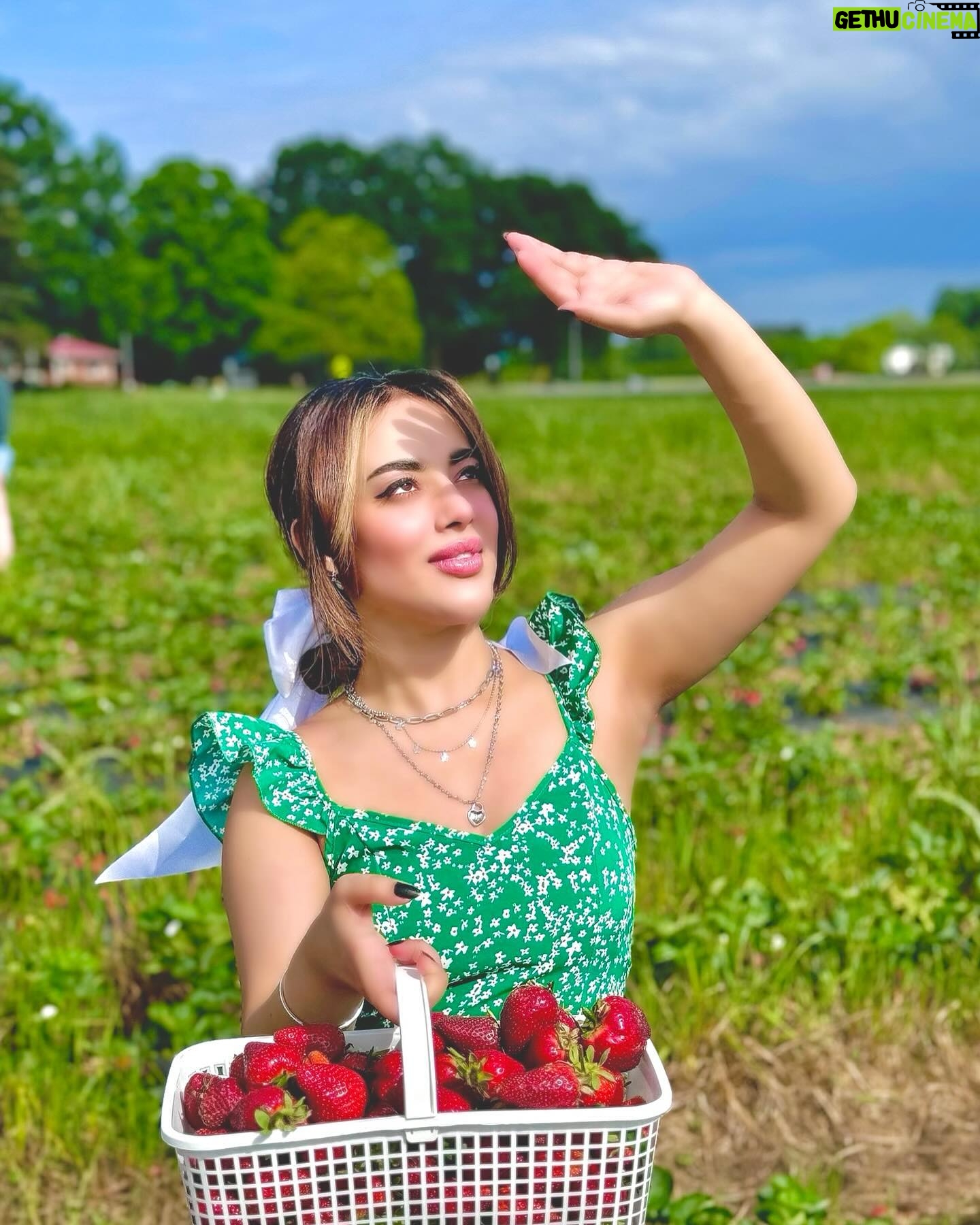 Tama Mirza - 2.6K Likes - @mimosalifestylebiz 👗🌺🍀🍓