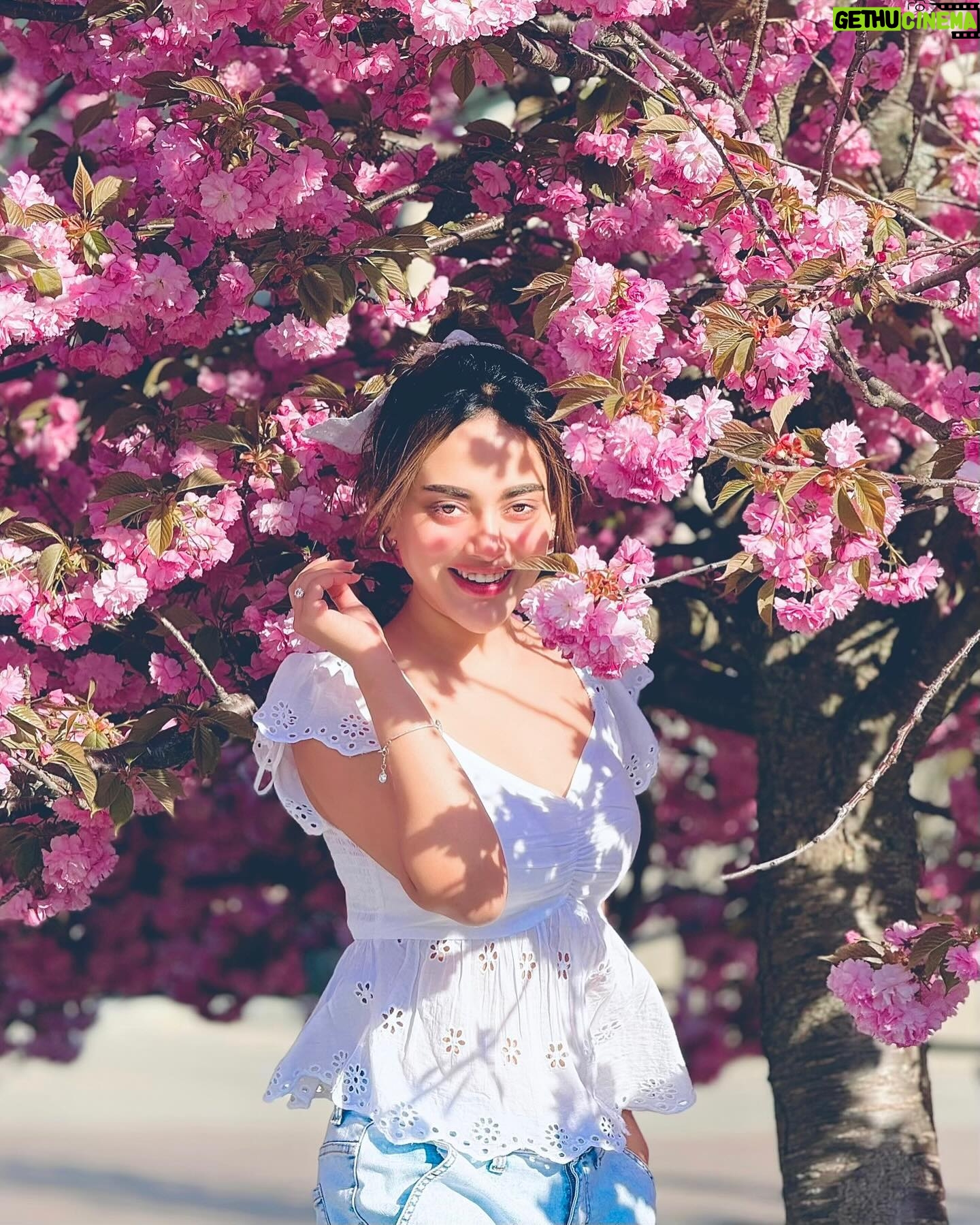 Tama Mirza - 4.1K Likes -