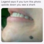 Tamala Jones Instagram – 🗣️ Shark 🦈👀🤣🤣🤣