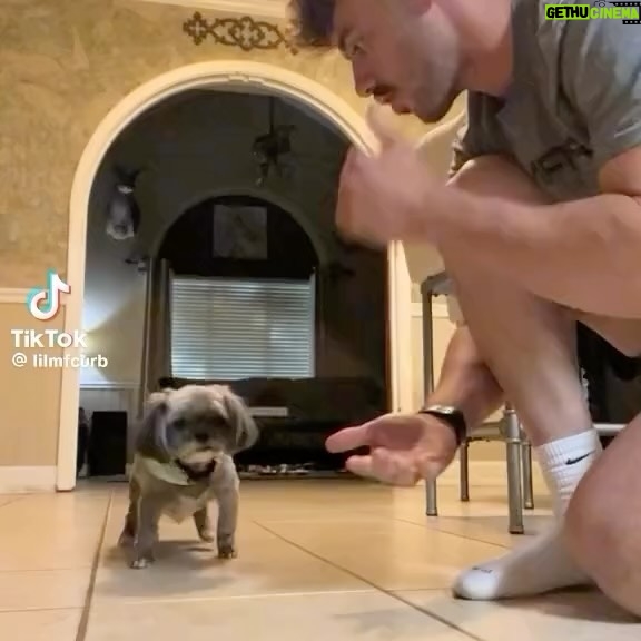 Tamala Jones - 2K Likes - Puppy said βIβm not to be played with ya heathenβ..π€£π€£π€£π€£β¦. He still tried to play till then end ..π€¦π½ββοΈπ€£π€£π€£πΎπΆ