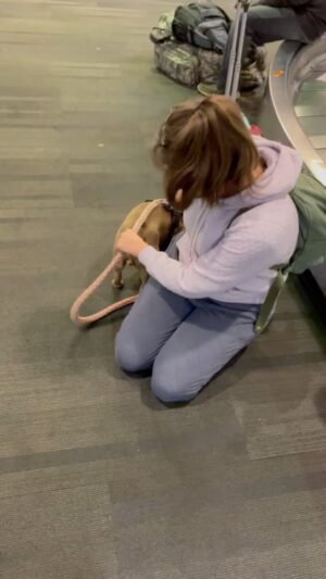 Tamara Braun Instagram - FOUND!!! Reunited and it feels so good. Jag and Mama back together again! Thanks to everyone who shared and cared. Please keep a close watch on your dogs and make sure they are chipped. #frenchie #dogs #love #found #thankyou