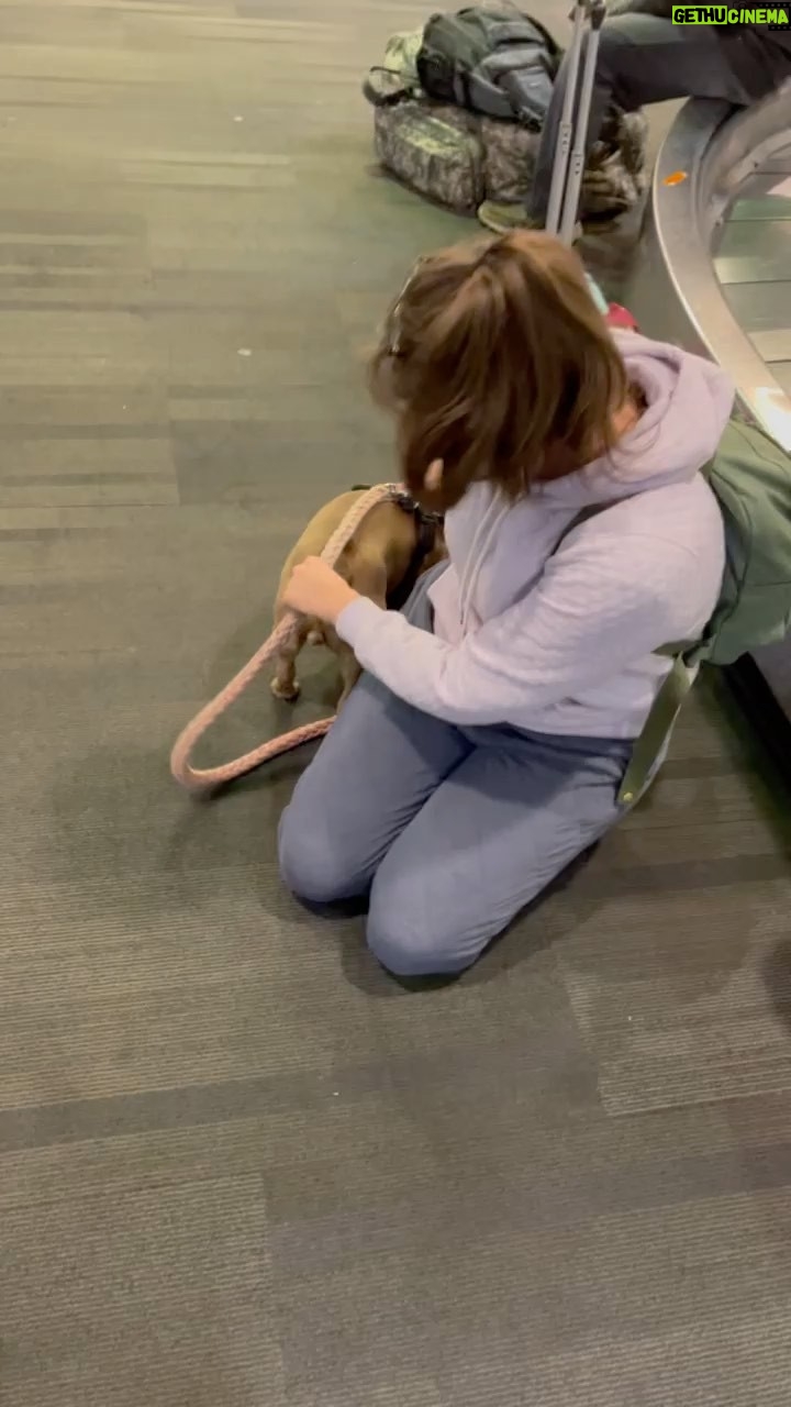 Tamara Braun - 1.2K Likes - FOUND!!! Reunited and it feels so good. Jag and Mama back together again! Thanks to everyone who shared and cared. Please keep a close watch on your dogs and make sure they are chipped. #frenchie #dogs #love #found #thankyou