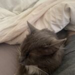 Tamara Acosta Instagram - Así con la mañana de nochebuena.