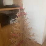 Tamara Acosta Instagram - Por acá ya empezó la temporada navideña, llevamos unos años difíciles, no solo para nosotros, para todo el mundo, pero nos quedan los buenos recuerdos, cómo cuándo con mi mamá hacíamos el pesebre con papel Kraft pintado como montaña, íbamos al centro y mi papá compraba una rama de pino para el árbol, todavía me acuerdo del olor, olor a Navidad, el menú era pollo con papas con mayonesa y porotos verdes con tomate, y era lo más delicioso del año, los regalos eran hermosos (ahora pienso, lo difícil que habrá sido para ellos comprarlos) Lo mejor ,despertarse y ver cómo el niño Jesús nos había visitado. Gracias Mamá y Papá Tata y mama Olga por esos hermosos recuerdos, a los que rrecuro cuando invade la angustia.
