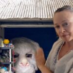 Tami Stronach