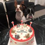 Tanakaga Instagram - 𝐇𝐚𝐩𝐩𝐲 𝐁𝐢𝐫𝐭𝐡𝐝𝐚𝐲🫅🏻💞 今年のタナ旦誕生日ケーキはブブビビホイップハート盛り盛りケーキでお祝いしました🐶㊗️笑 オーダーして作って貰った！！天才！可愛い！ 見た瞬間めっちゃ喜んでくれて嬉しかった😂💓 出会った当初は友達過ぎて、結婚するどころか付き合う事すら想像出来ひんかったのにそんな私達がもうすぐパパとママになるなんて人生なにが起こるかわからんもんやな🥰笑 これからも自分達のペースでゆっくり平和に過ごしましょうね。