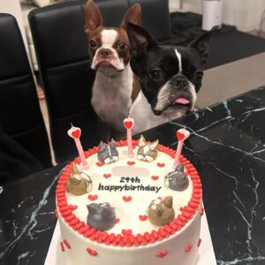 Tanakaga Instagram - 𝐇𝐚𝐩𝐩𝐲 𝐁𝐢𝐫𝐭𝐡𝐝𝐚𝐲🫅🏻💞

今年のタナ旦誕生日ケーキはブブビビホイップハート盛り盛りケーキでお祝いしました🐶㊗️笑
オーダーして作って貰った！！天才！可愛い！

見た瞬間めっちゃ喜んでくれて嬉しかった😂💓
出会った当初は友達過ぎて、結婚するどころか付き合う事すら想像出来ひんかったのにそんな私達がもうすぐパパとママになるなんて人生なにが起こるかわからんもんやな🥰笑

これからも自分達のペースでゆっくり平和に過ごしましょうね。