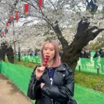 Tanakaga Instagram - 桜といちご🌸🍓 皆は今年もう花見した〜〜？？？