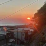 Tanakaga Instagram - 都会から離れてなんにもせずにぼーーーっと1日過ごすのが幸せすぎて心が浄化される〜。 めちゃくちゃ綺麗な夕日も野良猫界隈も、飛ばずにその辺散歩してるカラスも普段見れる事無いもん。 なんでもかんでも便利なのがいいってもんじゃないなって思うけど、これって普段何でもある所に住んでるからこそ思う事やし難しいな人間って笑 結局ないものねだりな面倒臭い生き物なんや私達は。