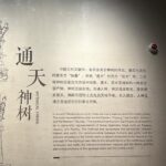 Tang Wei Instagram - 三星堆的神树