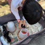 Tang Wei Instagram -