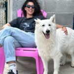 Tania Raymonde Instagram - Aux anges à l'élevage de mon oncle. Ces bergers blanc sont impressionnants mais t’inquiète c'est des gros nounours. Impossible de me faire bouger de cette chaise.