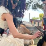 Tania Raymonde Instagram - drank meade braved a maze chilled w goats curtsied like maidens and basically went medieval as F at Ren Faire with @imdanadelorenzo