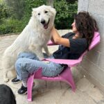 Tania Raymonde Instagram - Aux anges à l'élevage de mon oncle. Ces bergers blanc sont impressionnants mais t’inquiète c'est des gros nounours. Impossible de me faire bouger de cette chaise.