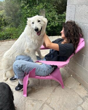 Tania Raymonde Instagram - Aux anges à l'élevage de mon oncle. Ces bergers blanc sont impressionnants mais t’inquiète c'est des gros nounours. Impossible de me faire bouger de cette chaise.