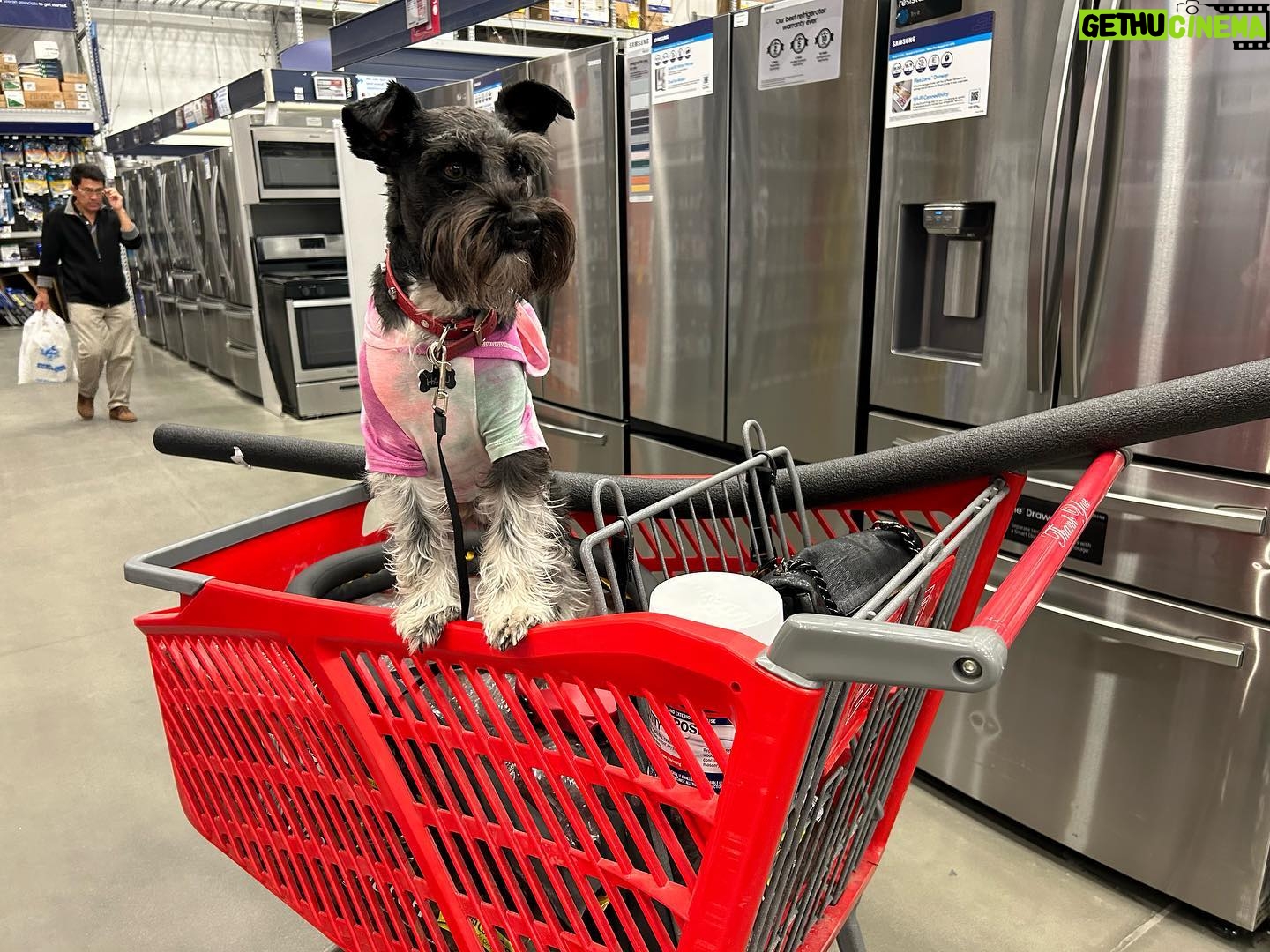Tania Raymonde Instagram - available for trips to Lowe’s or Home Depot