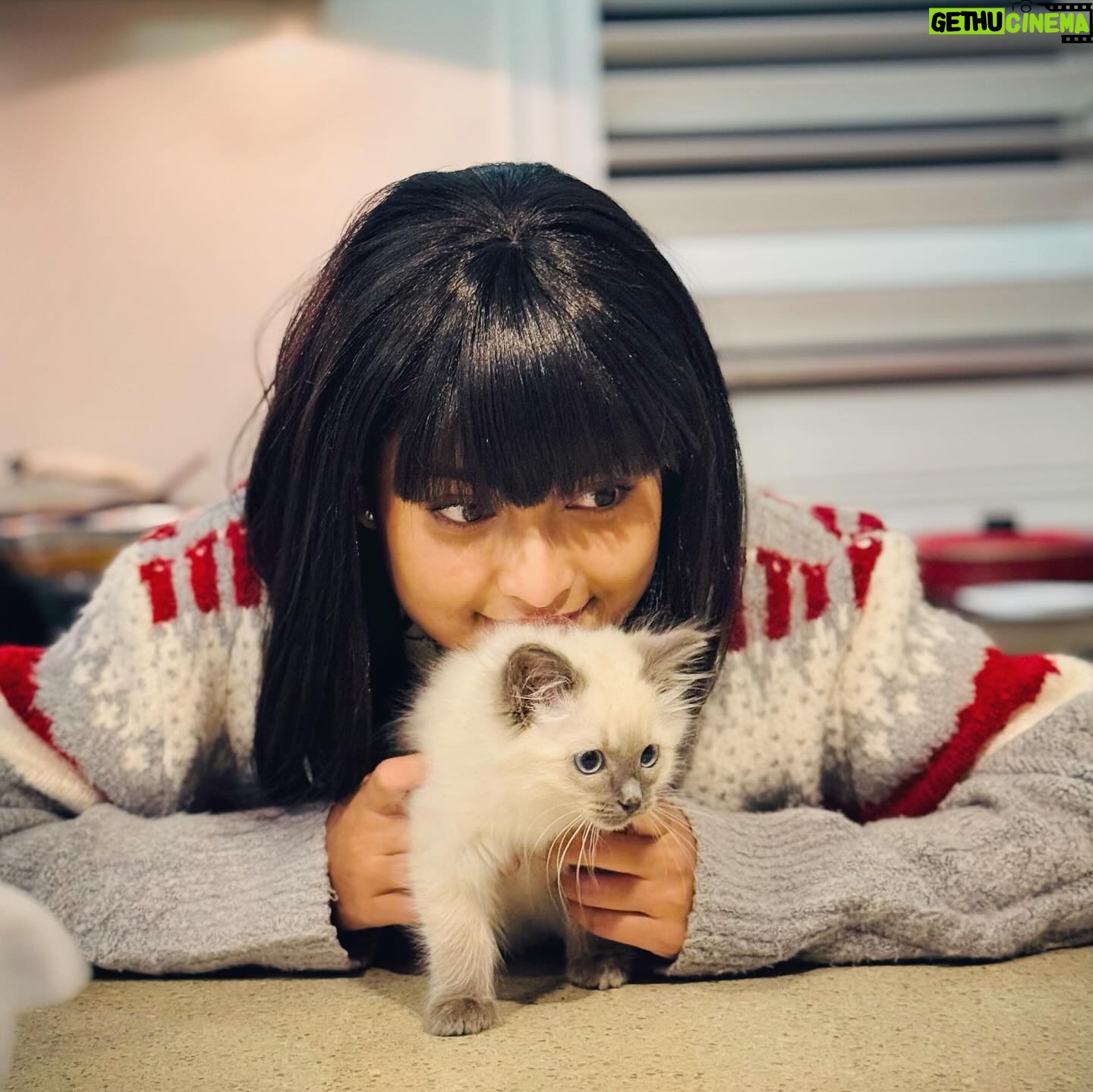 Tanjim Saiyara Totini Instagram - Kitty party 🎉