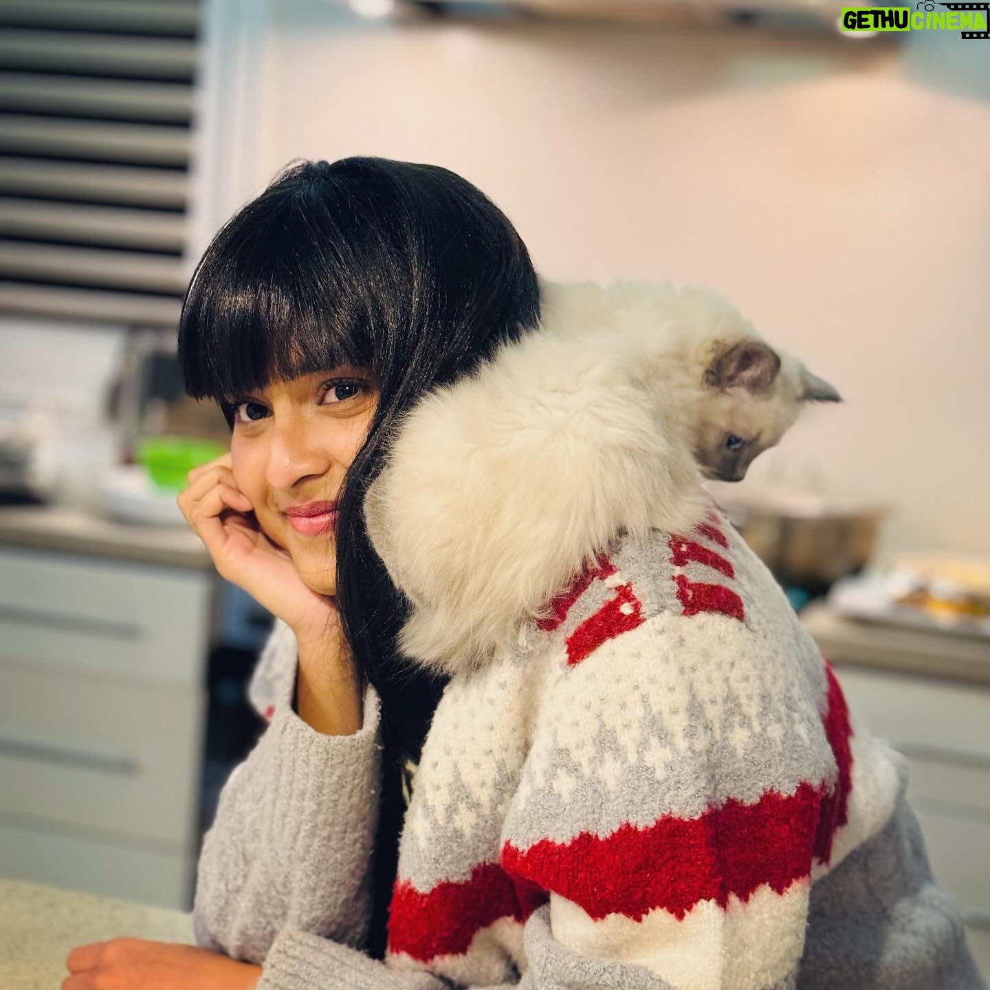 Tanjim Saiyara Totini Instagram - Kitty party 🎉