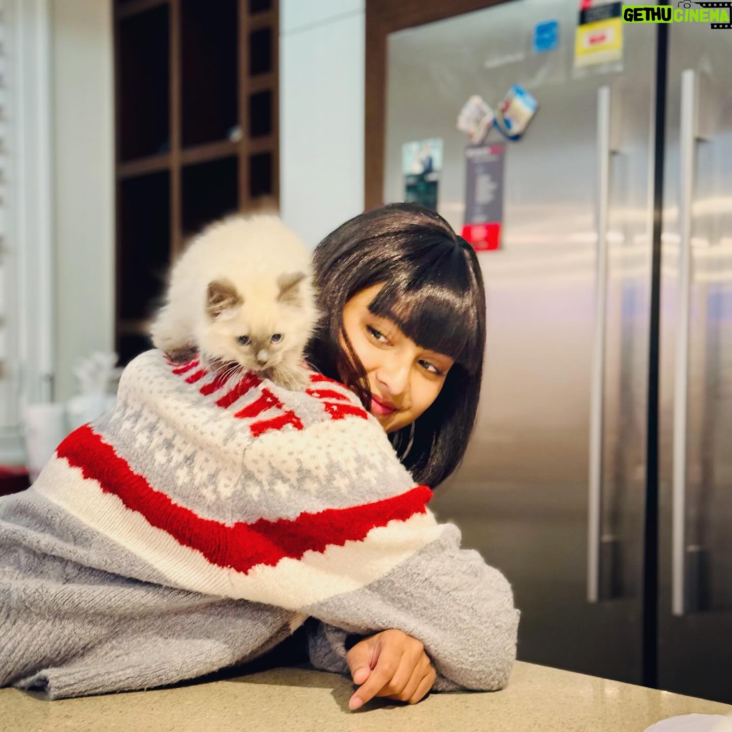 Tanjim Saiyara Totini Instagram - Kitty party 🎉