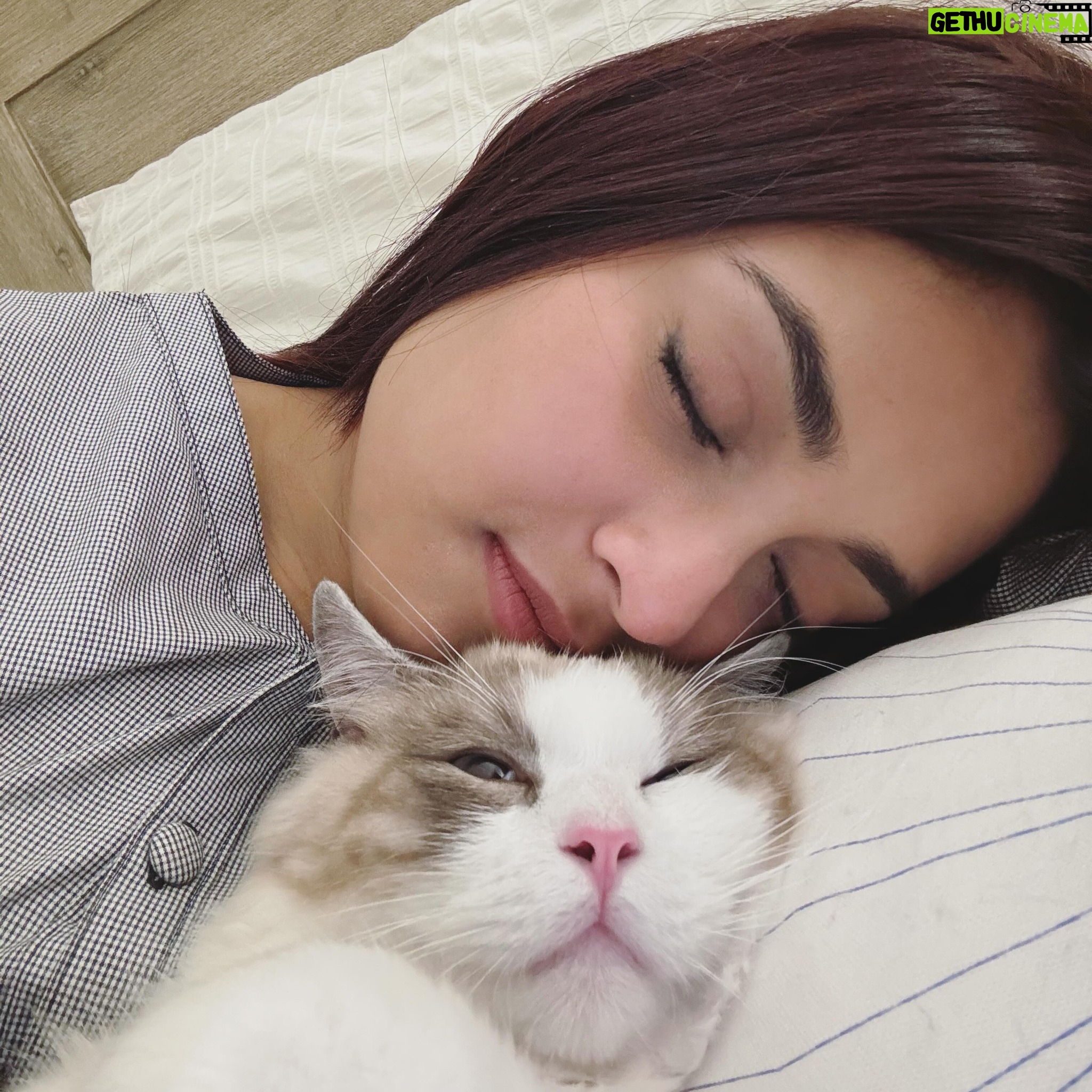 Tanjim Saiyara Totini Instagram - Nap time 😴