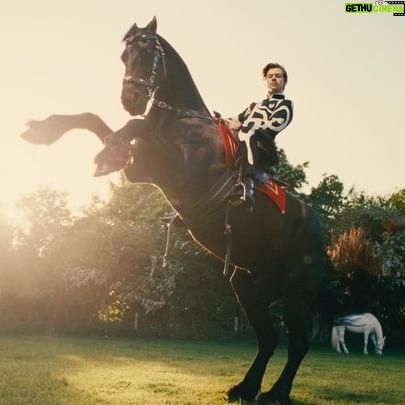 Tanu Muino - 78.4K Likes - @harrystyles - Daylight
Harry, nothing you can’t do. Flying, joggling, riding bikes and horse’s, walking on the rope, dancing (my favorite), and I just can only image what else you can )
Its so amazing to create a video on a music thats is in your favorites. Thank you for having me H, Love!
Thank you - amazing big team, who made it in one crazy daylight!
Director: @tanumuino
Creative Director: @mollyjane_x
DOP: @nikitakkkuz
Label: @columbiarecords
Commissioner: @bryanyounce
Production Company: @underwondercontent
Producer: @mauriziovontrapp
Exec Prod: @frankborin @ivannaborin Matthew Fone
Service Co: @riffrafffilms
Production Designer: @nightwindow
Choreographer: @hollytblakey
Artist Stylist: @harry_lambert
Editor: @carlosfontclos
VFX: @tiltvfx @romafx
Colorist: @josephbicknell @company_
1st AC: @samrawlings110
2nd AC: Ben Casciello-Rogers
2nd AC: @williamcrafts
Camera Trainee: Grace Pogonoski
Ronin Technician: Joe Redman
DIT: @davisdaviskristin
1st AD: @jailusser
2nd AD: @niomiemmacollins
3rd AD: @conorj_oyce
Runner: Liam Offord
Runner: Milo Manolson
Runner: @__maddysmith
Runner: @sophiakawyani
Location Manager: @mrwaterhouse
Location Assistant: Andrew Conteh
Location Assistant: Lewis Chandler
Key Grip: @tomjrnorth
Crane Grip: Billy Smith
Crane Grip: Aaron McDonaugh
Head Crane Tech: Tim Dean
Crane Tech: Daniel Huddy
Gaffer: @elliot_be
Electrician: Paul Rowe
Electrician: Paul Hill
Electrician: Max Halstead
Electrician: Sedge Wick
Electrician: Sam Alberg
Electrician: Matt Markham
Lighting Rigger: Joe O’Brian
Lighting Rigger: Danny Grove
Art Director: @jamesmid
Prop Assistant: @gracesnellock
Art Assistant: @addles
Art Assistant: @phoebe__
Art Assistant: Jack Evill
Art Assistant: @karen.hettey
Art Assistant: Melis Oyzoyn
Scenic Artist: @melissawickhampaints
Costume Designer: @spencerhorne1
Assistant Wardrobe: @callump91
Assistant Wardrobe: @CEeej
Assistant Wardrobe: Louise Byford
Assistant Wardrobe: Sabrina Picci
Sound Op: @simon_haggis_sound
Sound Assistant: Declan Chew
Makeup Artist: @georgiahopemakeup
Makeup Assistant: @martinaderosa_mua
Makeup Assistant: @shanimushington
Makeup Assistant: @coco.hirani
Hair Stylist: @oskarperahair