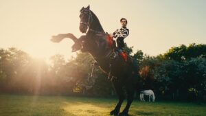 Tanu Muino Instagram - @harrystyles - Daylight 
Harry, nothing you can’t do. Flying, joggling, riding bikes and horse’s, walking on the rope, dancing (my favorite), and I just can only image what else you can )
Its so amazing to create a video on a music thats is in your favorites. Thank you for having me H, Love!
Thank you - amazing big team, who made it in one crazy daylight! 
Director: @tanumuino
Creative Director: @mollyjane_x
DOP: @nikitakkkuz 
Label: @columbiarecords
Commissioner: @bryanyounce
Production Company: @underwondercontent
Producer: @mauriziovontrapp
Exec Prod: @frankborin @ivannaborin Matthew Fone 
Service Co: @riffrafffilms
Production Designer: @nightwindow
Choreographer: @hollytblakey 
Artist Stylist: @harry_lambert
Editor: @carlosfontclos
VFX: @tiltvfx @romafx
Colorist: @josephbicknell @company_
1st AC:  @samrawlings110
2nd AC: Ben Casciello-Rogers
2nd AC:  @williamcrafts
Camera Trainee: Grace Pogonoski 
Ronin Technician: Joe Redman
DIT: @davisdaviskristin
1st AD: @jailusser
2nd AD: @niomiemmacollins
3rd AD: @conorj_oyce
Runner: Liam Offord 
Runner: Milo Manolson
Runner: @__maddysmith
Runner: @sophiakawyani
Location Manager: @mrwaterhouse
Location Assistant: Andrew Conteh  Location Assistant: Lewis Chandler
Key Grip: @tomjrnorth
Crane Grip: Billy Smith
Crane Grip: Aaron McDonaugh 
Head Crane Tech: Tim Dean
Crane Tech: Daniel Huddy
Gaffer: @elliot_be
Electrician: Paul Rowe
Electrician: Paul Hill
Electrician: Max Halstead
Electrician: Sedge Wick
Electrician: Sam Alberg
Electrician: Matt Markham
Lighting Rigger: Joe O’Brian
Lighting Rigger: Danny Grove
Art Director: @jamesmid
Prop Assistant: @gracesnellock
Art Assistant: @addles
Art Assistant: @phoebe__
Art Assistant: Jack Evill 
Art Assistant: @karen.hettey
Art Assistant: Melis Oyzoyn 
Scenic Artist: @melissawickhampaints
Costume Designer: @spencerhorne1
Assistant Wardrobe: @callump91
Assistant Wardrobe: @CEeej
Assistant Wardrobe: Louise Byford 
Assistant Wardrobe: Sabrina Picci
Sound Op: @simon_haggis_sound
Sound Assistant: Declan Chew
Makeup Artist: @georgiahopemakeup
Makeup Assistant: @martinaderosa_mua
Makeup Assistant: @shanimushington
Makeup Assistant: @coco.hirani
Hair Stylist: @oskarperahair