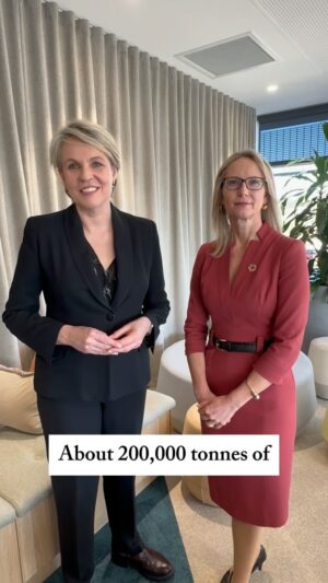 Tanya Plibersek Instagram - Big news today.

More than 60 brands and retailers have signed up to an industry-led scheme to cut fashion waste. 

That means designing clothes that last and cutting waste going into landfill. 

Now it’s up to other big brands to join @seamlessaustralia