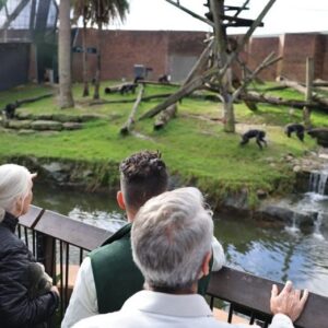 Tanya Plibersek Instagram - Spent yesterday afternoon with conservationist Dr Jane Goodall, and lots of fantastic young people doing great things to protect animals and the environment.

Jane reminds us we can all play our part to protect the planet.
