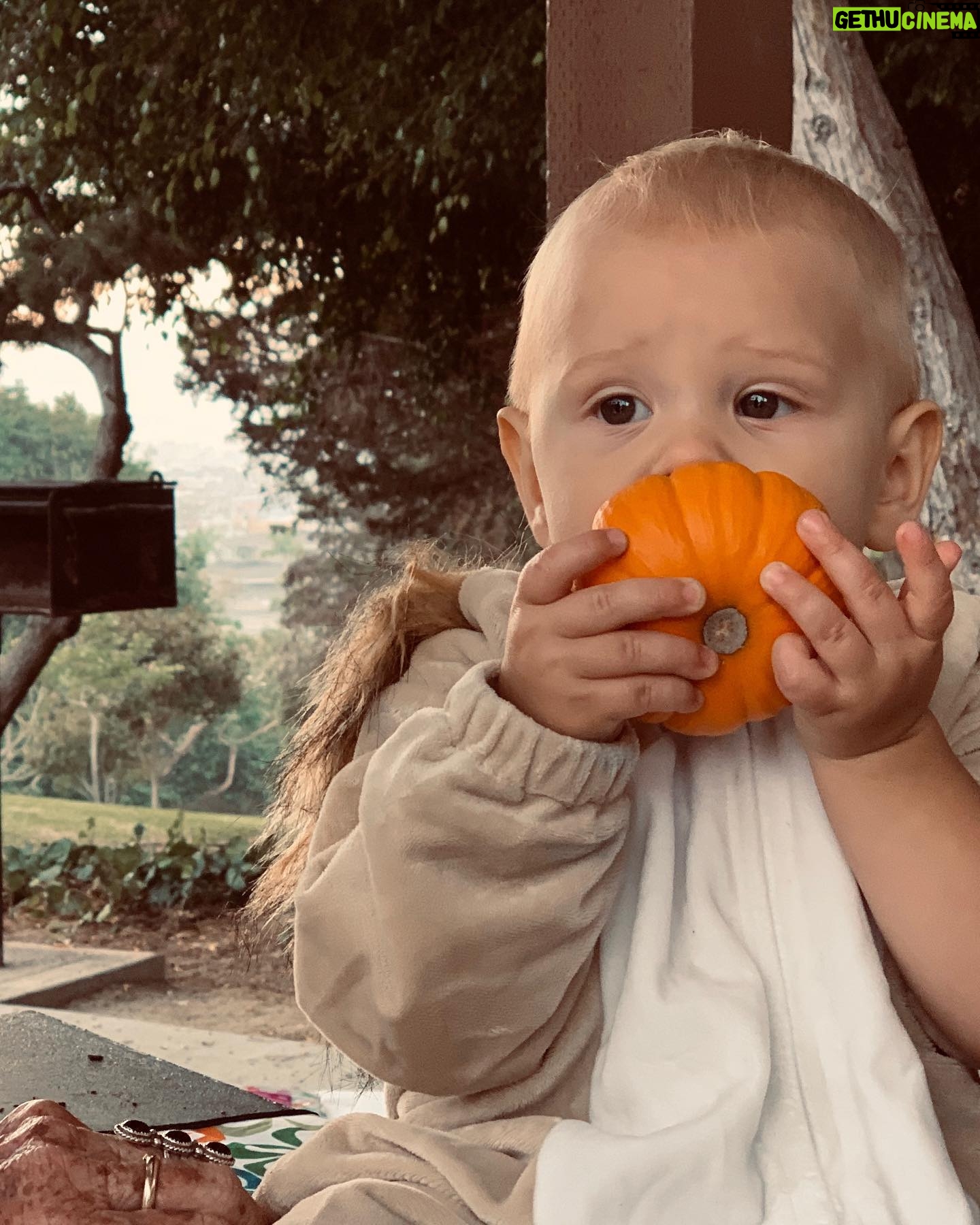 Tara Holt - 1.1K Likes - Happy 2nd birthday to my little nephew Maddox! I love you more than words 🥳💚💫🎃
