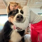 Tara Strong Instagram - There aren’t words for how much it hurts to say goodbye to my very best girl. She was so special. Everywhere she went, people wanted to hug her and pet her and just for a moment share the love she exuded to the whole world. It’s really hard, it’s left a gaping hole in our hearts 💔 dogs don’t live long enough. Miss you sweet Reesie, thank you for choosing us. 💜