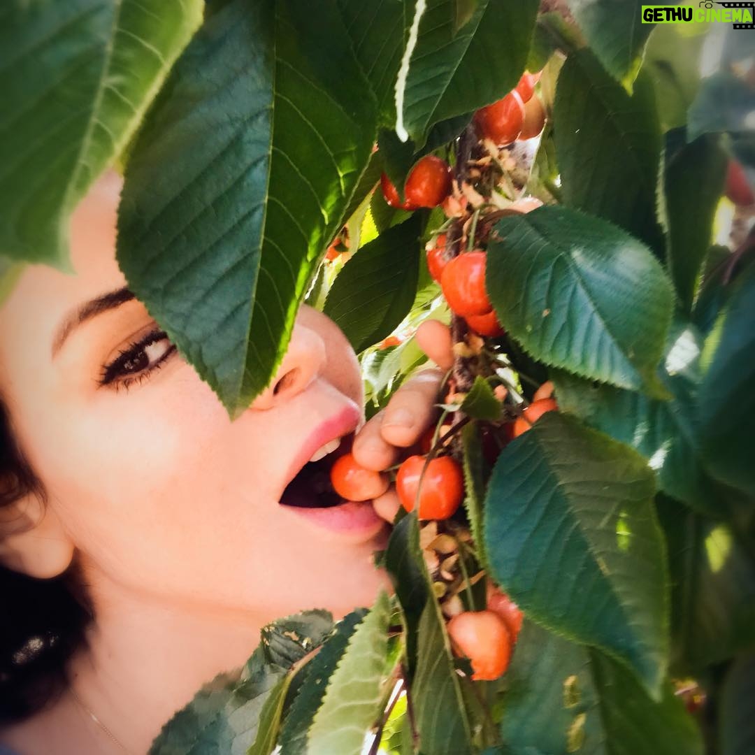 Tatiana - 1K Likes -