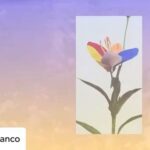 Tatiana Maslany Instagram – Posted @withregram • @mykkiblanco I am very happy to share today the first film series I have ever narrated.
.
“METAMORPHOSIS” is a new film series created by The Institute for Queer Ecology focusing on a new vision for how we can create new methods for tackling our planets many environmental crises, @queerecology and debuting on @dis. 
______________________________________________________
“METAMORPHOSIS”. In this 3 part film series, the concept here is centered as a revolutionary paradigm for transforming ecology and our toxic interdependence on capitalism.
.
“QUEERNESS” serves as a type of ecological visioning, a way of proposing an alternative utopian world where mutual support and care serve as strategies to support a global ecological and intersectional movement where no one is left out or behind.
.
THANK YOU so much to @queerecology and to @dis for involving me in this 3 part film series.
.
The entire film series can be watched on @dis. Subscribe to the @dis streaming platform for a free 30 day trial, so many great films and videos there to digest!