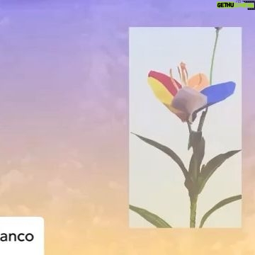 Tatiana Maslany Instagram - Posted @withregram • @mykkiblanco I am very happy to share today the first film series I have ever narrated. . “METAMORPHOSIS” is a new film series created by The Institute for Queer Ecology focusing on a new vision for how we can create new methods for tackling our planets many environmental crises, @queerecology and debuting on @dis. ______________________________________________________ “METAMORPHOSIS”. In this 3 part film series, the concept here is centered as a revolutionary paradigm for transforming ecology and our toxic interdependence on capitalism. . “QUEERNESS” serves as a type of ecological visioning, a way of proposing an alternative utopian world where mutual support and care serve as strategies to support a global ecological and intersectional movement where no one is left out or behind. . THANK YOU so much to @queerecology and to @dis for involving me in this 3 part film series. . The entire film series can be watched on @dis. Subscribe to the @dis streaming platform for a free 30 day trial, so many great films and videos there to digest!
