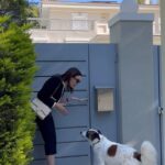 Tatiana Stefanidou Instagram - Όταν το μόνο παιδί που κλαίει πια όταν φεύγεις από το σπίτι είναι ο Tommy! 😂#dogs #dogsofinstagram 🐶