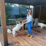 Tatiana Stefanidou Instagram - Σπιτίσιο Σάββατο… 🐶#weekend #weekendoutfit #dogsofinstagram