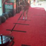 Tatiana Suarez Instagram - 💪🏽💪🏽💪🏽 #mma #wmma #ufc #workout