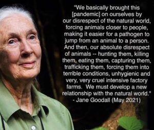 Tatjana Patitz Instagram - Endangered Species day 🌿💚💙💚 repost from @janegoodallinst @jodyboyman  #endangeredspeciesday #janegoodall #heroes