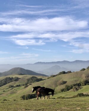 Tatjana Patitz Instagram - Love this place so much #slo #returntofreedom #wildhorses