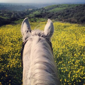 Tatjana Patitz Instagram - Nature is our communication system how one truly connects. We need to listen and get to the root of our true selves. I love everything about nature from the sea to the earth and sky. I listen, feel , intuit, I know smell and hear and see when things are shifting staying connected in awe 🥰  Nature is my religion my source my all and wether I’m scuba diving or hiking or a top a horse I’m always listening feeling and connected ❤️
