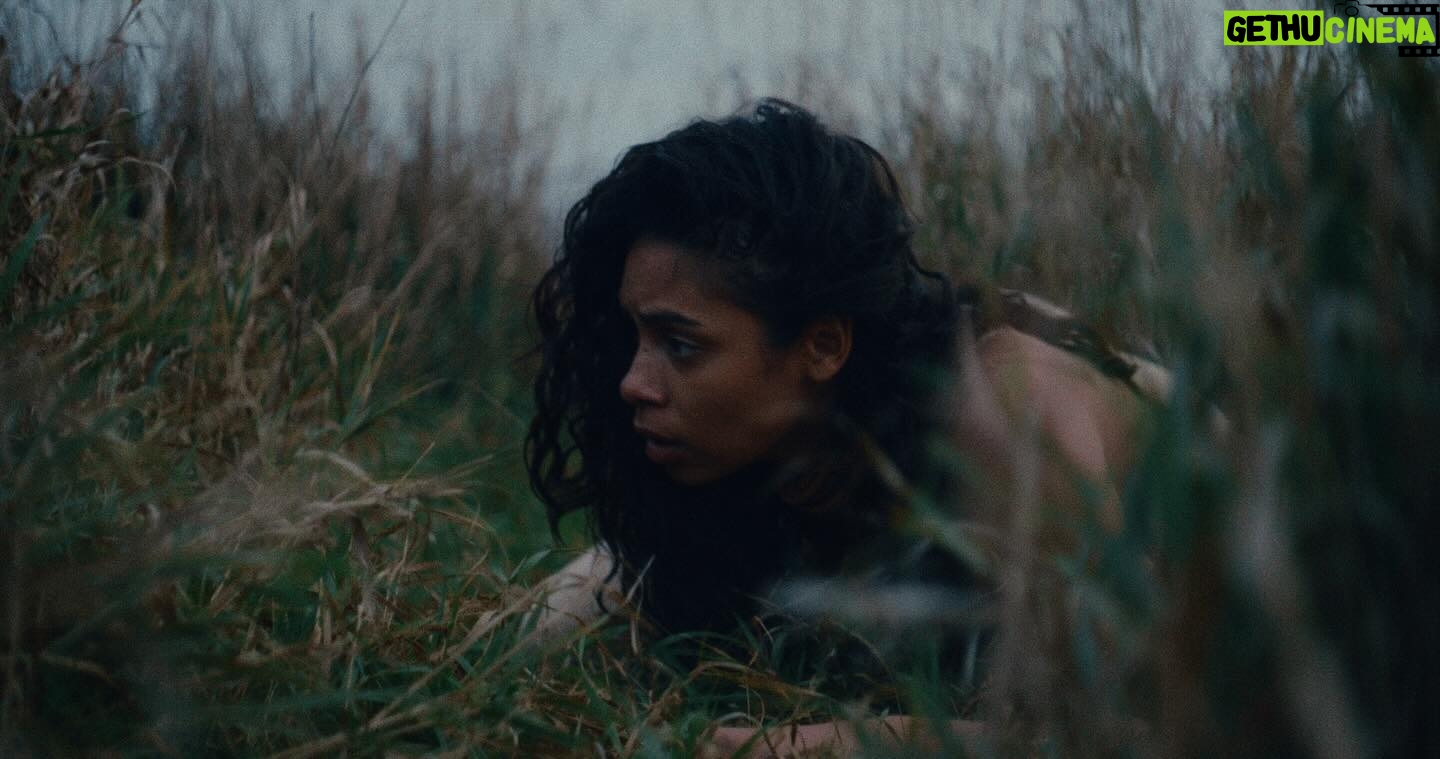 Taveeta Szymanowicz Instagram - stills from our little film "metamorphosis" — out now on @beyondtheshort ⭐️ link in bio x Creative Director:@taveeta DOP: @thepeterschnobb Producer: @madetotell Post Production: @thepeterschnobb First Assistant Camera: Jason Lin Production Assistant: @scottydynamo Hair, Makeup, Wardrobe: @jessgagliano Dancer/Choreographer: @taveeta Music: Spearfisher