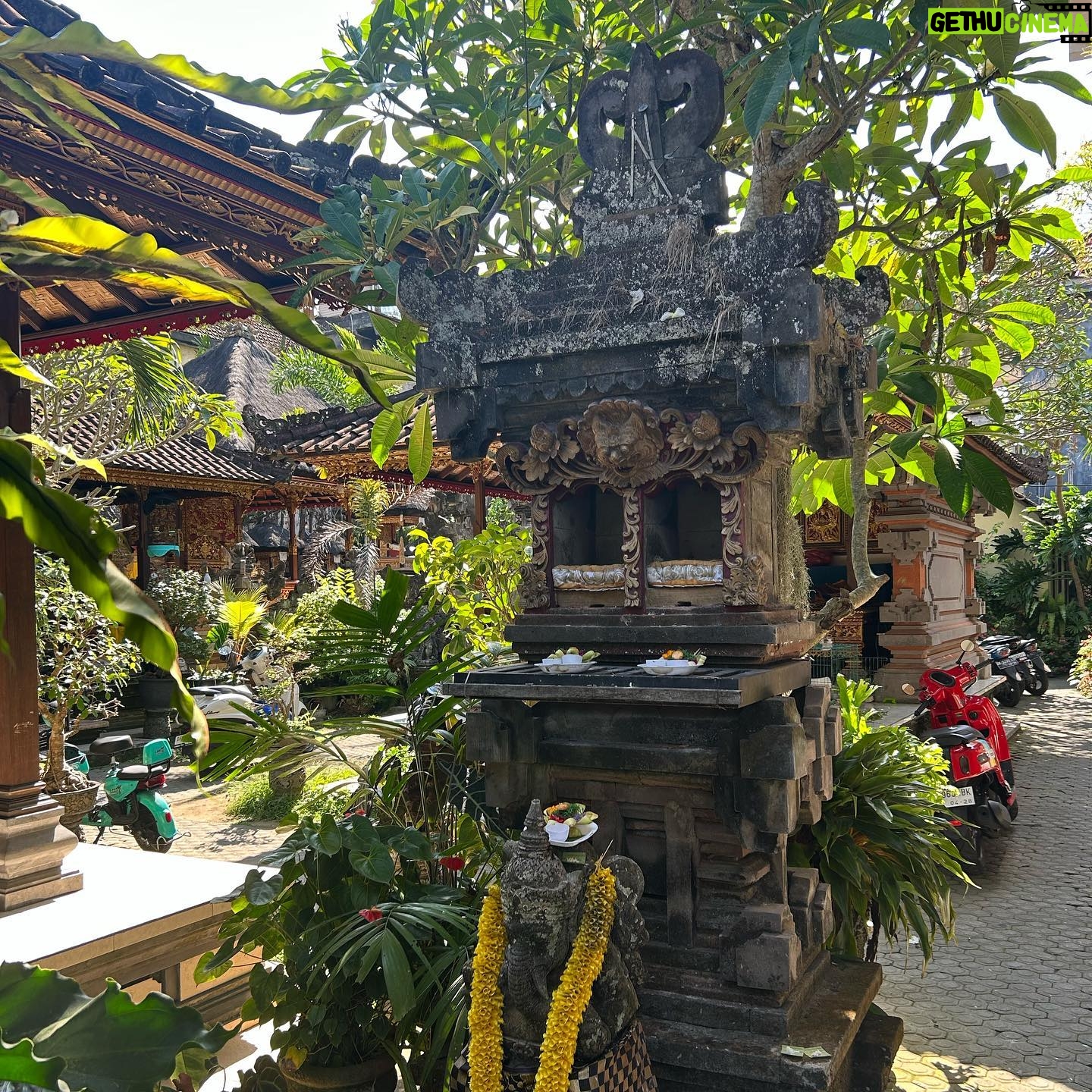 Taveeta Szymanowicz Instagram - travelling solo is terrifying and exhilarating but I love every second of it. Indonesia, your monkeys are wildn, your food is delicious, and your people are SO VERY kind. I’m tanner than tan, got smacked by a tree lizard, soared up a volcano, and am now a professional motor bike passenger haha. I have learned so much about your culture, made new friends, and even got to catch up with an old one! feeling very lucky and incredibly grateful for this life I get to live. Here’s to making the most out of it. matur suksma 🙏🏽🤍