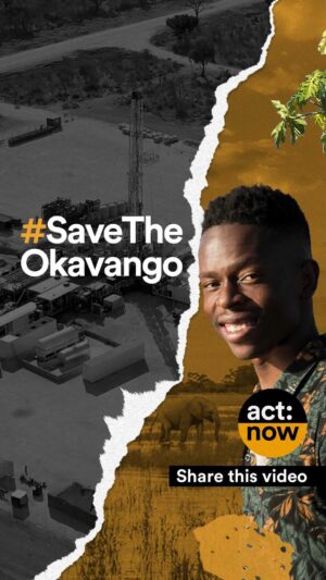 Taveeta Szymanowicz Instagram - The Okavango needs your help. Join me, @rewild, Prince Harry, The Duke of Sussex, @leonardodicaprio, local activists and community leaders to #SaveTheOkavango by adding your name to the open letter calling for a moratorium on oil and gas drilling in the Okavango River Basin of southern Africa. Link in bio.

There is no resource more precious than water in the Okavango River Basin, where Canadian company ReconAfrica is drilling for oil and gas. Local and Indigenous communities are concerned for their homes, their water supply, and the ecosystem that supports all life around them.

The Okavango Delta is a Key Biodiversity Area, a UNESCO World Heritage site and an ecological wonderland so vast it is visible from space. This region sustains nearly one million Indigenous and local people by providing clean water, food, livelihoods, and places to live.

The Okavango ecosystem is also home to some of the world’s most threatened wildlife, and is the stomping grounds of the largest population of elephants on Earth. The rivers that feed the Okavango Delta are a vital lifeline to the Kalahari desert ecosystem, which is prone to drought. There **is already too little water to spare; the cost of polluting what remains is too high.

I stand with the people of the Okavango River Basin, who depend on the health of this irreplaceable ecosystem for their survival, and hope that you will too. ReconAfrica is poised to pollute their waters and destroy a beautiful landscape—one that benefits all life on Earth— forever. Join us by signing the open letter at the link in my bio. Together, we can #SaveTheOkavango.

For all wildkind.

Video produced by @rewild | 🎶 @habitaatmusic | Cover photo @Franslanting